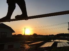 画像の説明 画像の説明