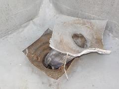 画像の説明 画像の説明