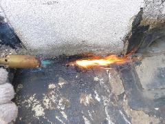 画像の説明 画像の説明