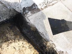 画像の説明 画像の説明