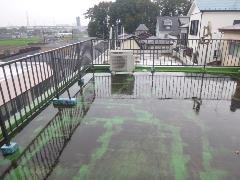 画像の説明 画像の説明