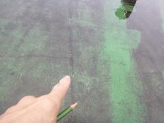 画像の説明 画像の説明